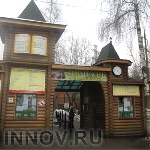 Полосатый скунс поселился в Нижнем Новгороде