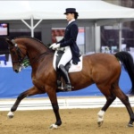 Этап Кубка мира по конному спорту стартует в Нижнем Новгороде