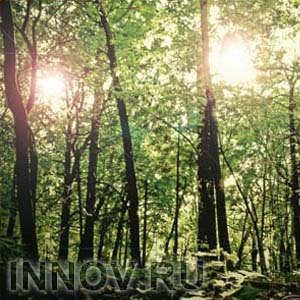 Защищая парк Кулибина, 150 нижегородцев потребовали отставки мэра Нижнего Новгорода