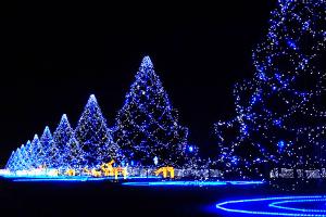 Великий Устюг - привлекательный туристический объект