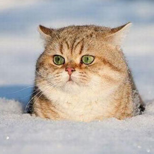 «Минус» обещают синоптики нижегородцам  