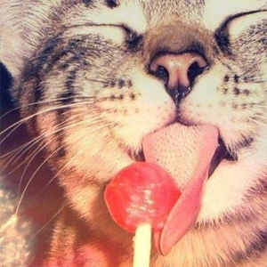 В Нижнем Новгороде сигареты обменяют на конфеты