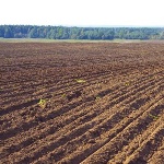 Народные приметы: 8 мая