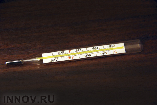 К зиме в России может вырасти смертность от гриппа H1N1