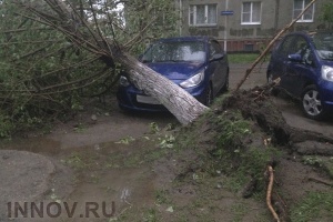 Гроза в Нижнем Новгороде: деревья и строительные заборы вырваны с корнем