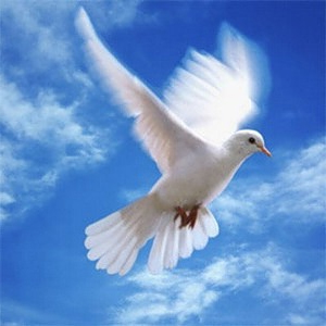 Народные приметы от INNOV: 30 сентября