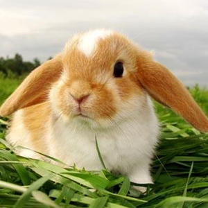 Народные приметы от INNOV: 10 июля