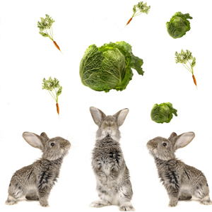 Народные приметы от INNOV: 27 сентября