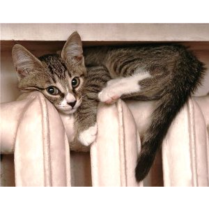 Кондрашов распорядился начать отопительный сезон в этот четверг