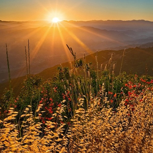 Народные приметы от INNOV: 28 августа