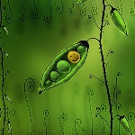 Народные приметы: 6 мая