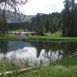 Народные приметы от INNOV: 23 августа