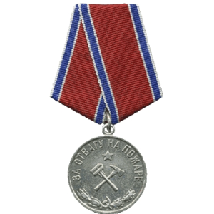 Нижегородку Татьяну Хашеву наградят медалью «За отвагу на пожаре» 