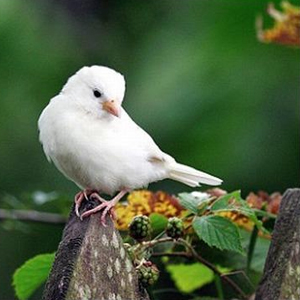 Народные приметы от INNOV: 29 июля