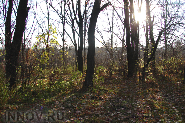 Женщина бросила умирать своего новорожденного ребенка в лесу города Кирова