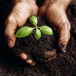 Народные приметы: 5 мая