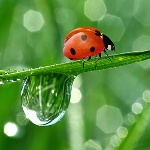 Народные приметы от INNOV: 25 мая