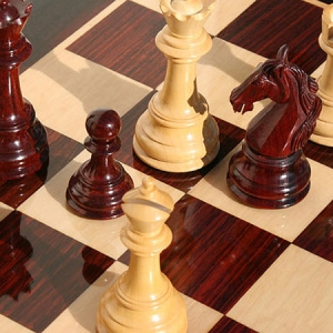 Нижегородская шахматистка стала чемпионкой Европы