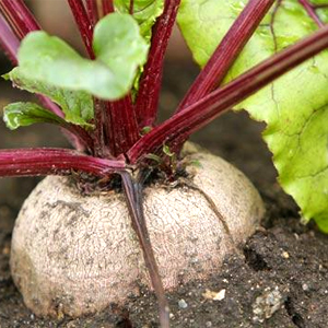 Народные приметы от INNOV: 1 сентября