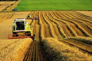 В 2014 году нижегородские сельхозпроизводители заработают 1,7 миллиарда рублей