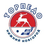 На нижегородских болельщиков "Торпедо" совершено нападение в Донецке