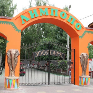 Балахнинскому «Лимпопо» - 2 года!