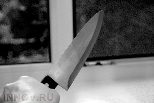 В Новосибирске арестовали мажора, зарезавшего подругу-школьницу