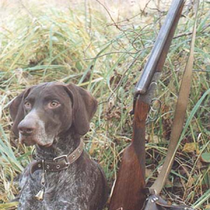 Собака застрелила парня из Выксы во время охоты