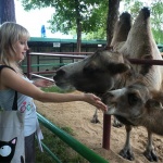 Светланы и Николаи сходят в нижегородский зоопарк бесплатно