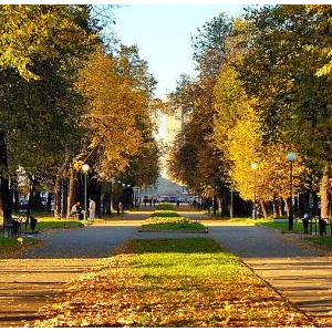 Сквер на Звездинке отремонтируют «не как хотелось» 