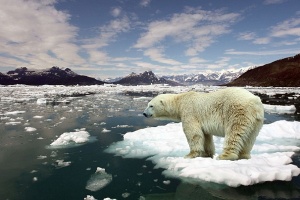 К концу текущего века Арктика летом может остаться без льда