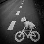 Дорожную разметку наносят в Нижнем Новгороде