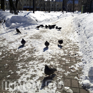 Олег Кондрашов внедряет ГЛОНАСС для уборки снега