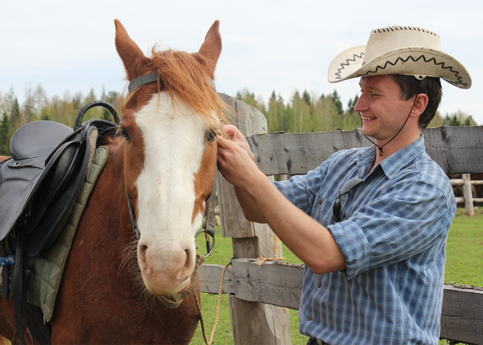 конный клуб центавр. лошади август яку. конный клуб центавр нижний новгород.