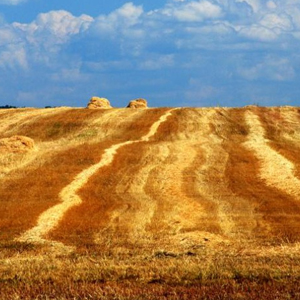 Народные приметы от INNOV: 10 сентября