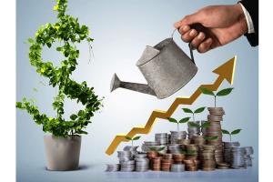 Инвестиционная программа CASHMOTOR: высокая доходность и безопасность вложений в залоговое кредитование