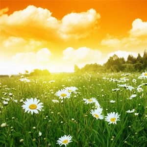 Народные приметы от INNOV: 16 августа