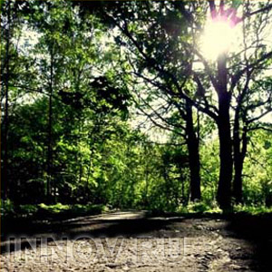 Нижегородцы убрали парк Кулибина