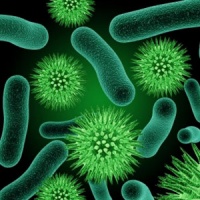 Бактерии могут стать опаснее рака