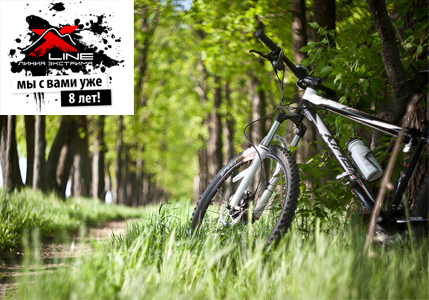 X-line, прокат велосипедов