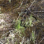 Народные приметы от INNOV: 30 мая