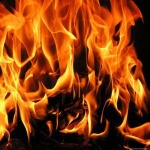 Двое малышей сгорели в квартире