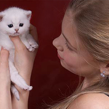 Кошки знают своих хозяев
