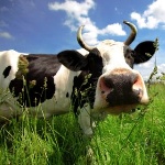 Народные приметы: 3 мая