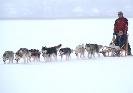 Хаски Хаус, шаман-клуб