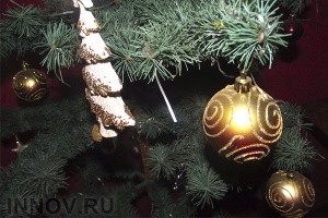 8 декабря в столице Приволжья установят главную новогоднюю ёлку 