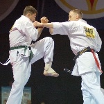 Каратисты из Нижнего Новгорода завоевали медали разных достоинств на чемпионате мира по кекусинкай