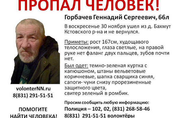 Пропавшего пенсионера Геннадия Горбачева нашли повешенным 