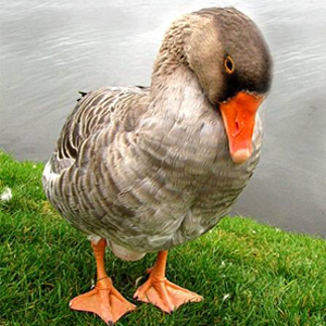 Народные приметы от INNOV: 28 сентября