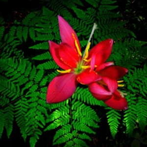 Народные приметы от INNOV: 6 июля